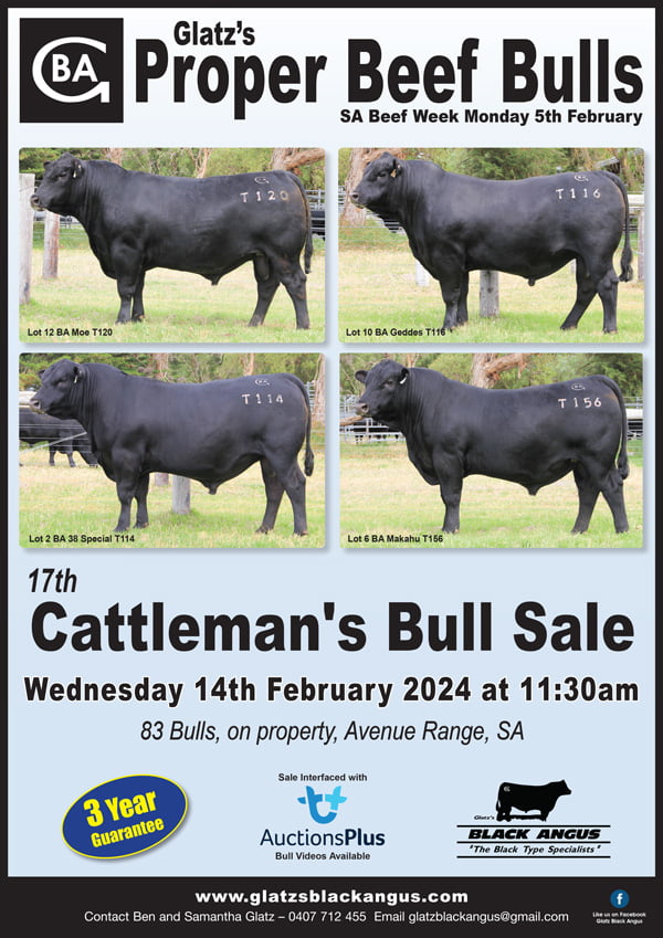 Glatz's Black Angus 17th Cattleman's Bull Sale