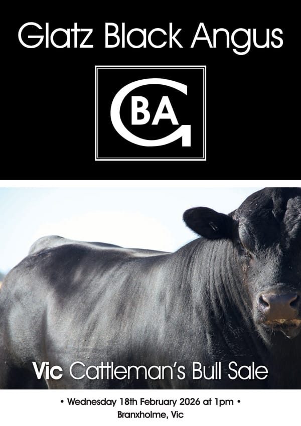 Glatz-Black-Angus---Bull-Sale-2026-1